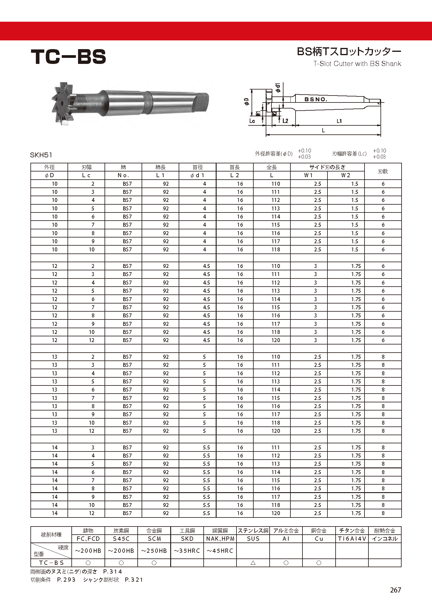 エビ ブラインドリベット(ステンレス ステンレス製) 6-5(15本入) エコパック [NST65MP] NST65MP 販売単位：1 通販 